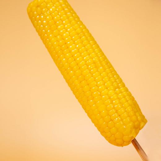 有机黑土地黄糯玉米(8穗)/1.6kg 商品图4