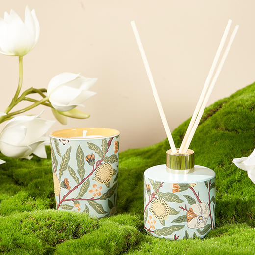 V&A博物馆 工艺美术系列 石榴 草莓小偷 香氛蜡烛香薰礼盒 商品图3