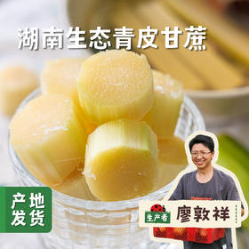 湖南生态青皮甘蔗5斤 | 合作农友生产，来自湖南邵阳，生产者：廖敦祥 *【公平贸易农人定价】
