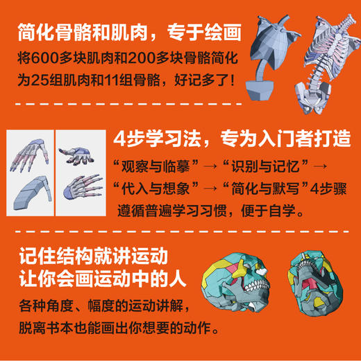 艺用人体结构：解剖+动态+识记+默画 鸭妖贵哥人体结构原理与动态教学教程插画教程 游戏动漫人体结构造型赠头部模型电子文件 商品图1