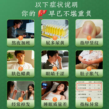 朕皇同仁堂菊花枸杞决明子西洋参黄芪熬夜去降上火清热解毒护肝茶160g 商品图2