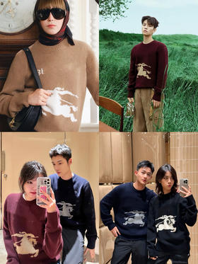 113-1 排他性独家圆正 BB海报款 男女同款 战马毛衣