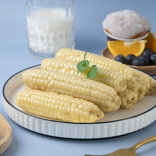 云南高原拇指小玉米/800g 商品图4