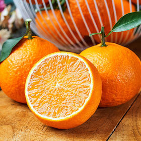 【爱媛果冻橙】蜀中橘橙 细嫩爆汁酸甜适口甜蜜无渣果冻橙4.5斤/8斤装