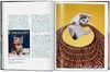 Walter Chandoha. Cats. Photographs 1942–2018 / 沃尔特·尚多哈. 猫 摄影集 1942–2018 /Taschen 原版艺术画册 商品缩略图2