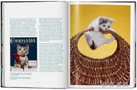 Walter Chandoha. Cats. Photographs 1942–2018 / 沃尔特·尚多哈. 猫 摄影集 1942–2018 /Taschen 原版艺术画册 商品图2