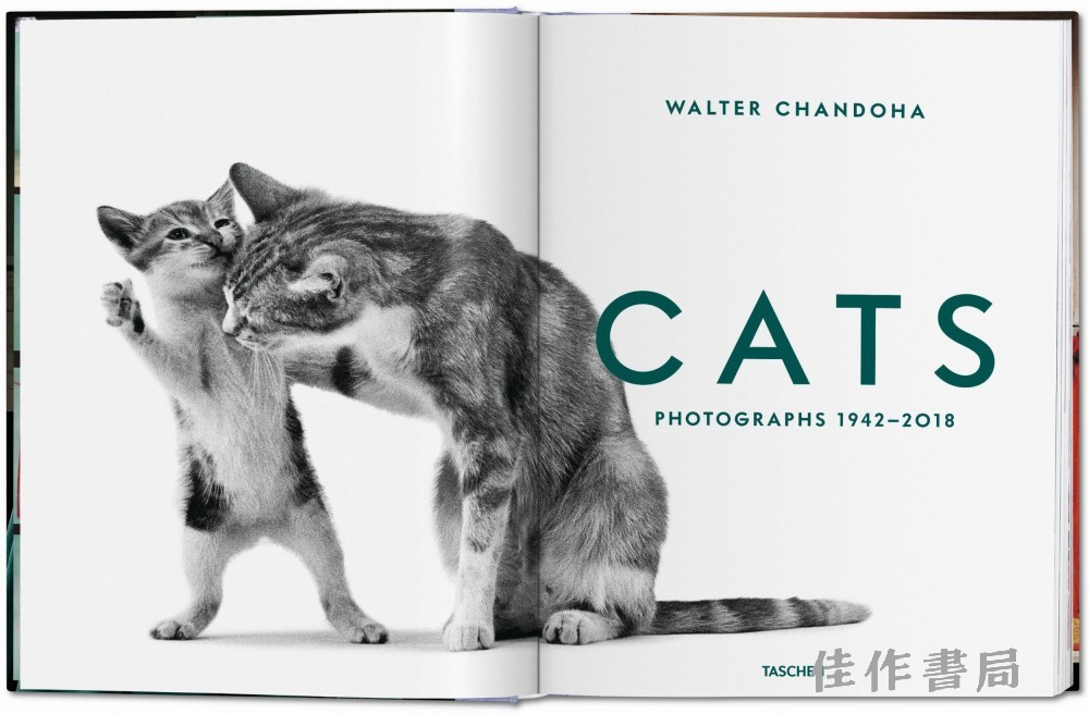 walter_chandoha_cats_fo_int_open_0002_0003_05344_1906061352_id_1255900.jpg
