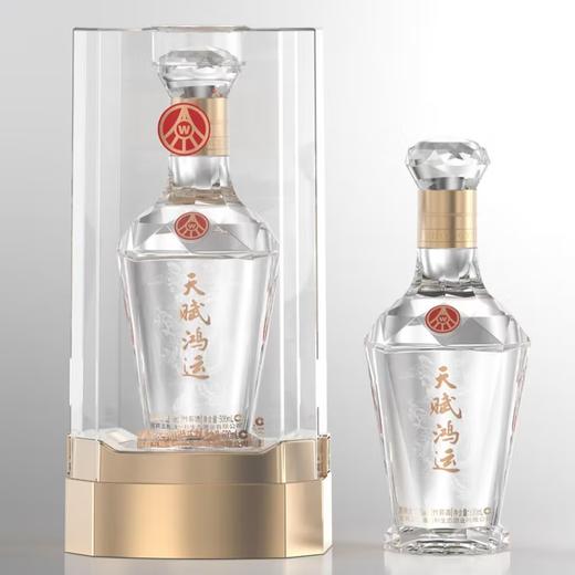 【口粮好酒】五粮液 绿豆竹荪酒 天赋鸿运 钻石款 52度 500ml*6瓶整箱 商品图2