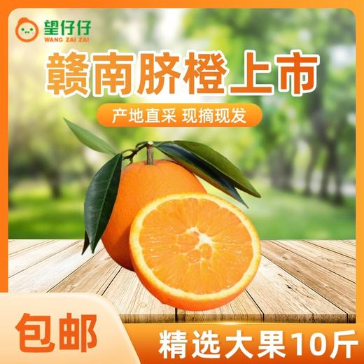 赣南脐橙不催熟不打蜡产地直发 商品图1
