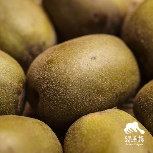 生态猕猴桃（个头小，中通） | 合作生产*Ecological kiwifruit | Partner Production 商品图1