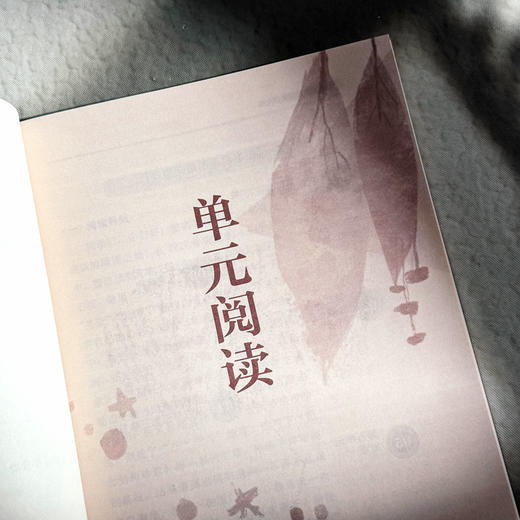 整本书阅读精讲精练 朝花夕拾 名著导读 初中高中部编版教材核心书目 商品图10