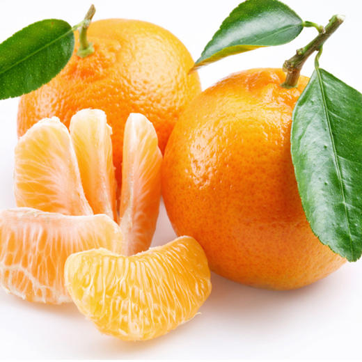 桔子(1000g±50g) 商品图0