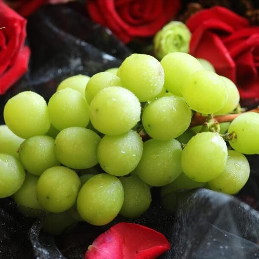 【分仓直发包邮】云南阳光玫瑰2斤家庭装(2~3串)单果6~10g 商品图1