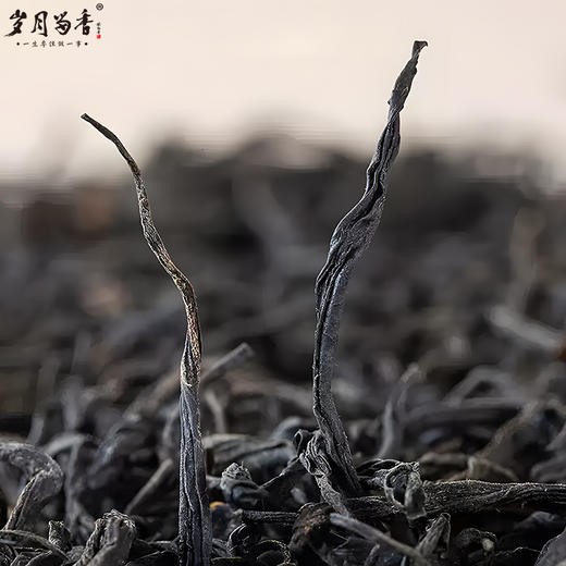 岁月留香·正山小种 商品图4
