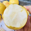 【山野蜂蜜梨】只要吃一口就知道是好梨，汁水特别足！多吃梨润肺 防呼吸道疾病[胜利] 商品缩略图2