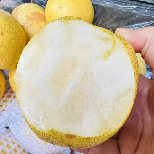 【山野蜂蜜梨】只要吃一口就知道是好梨，汁水特别足！多吃梨润肺 防呼吸道疾病[胜利] 商品图2