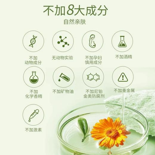 安姑娘 植物洋甘菊舒缓补水面膜 5片/盒（可免洗）补水 全面升级 舒缓 提亮肤色 敏感肌可用 适合任何肤质 纯素美妆护肤 植物基 0%动物成分 [漳州仓] 商品图5