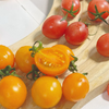 攀枝花高山露天多色口感小番茄 商品缩略图2