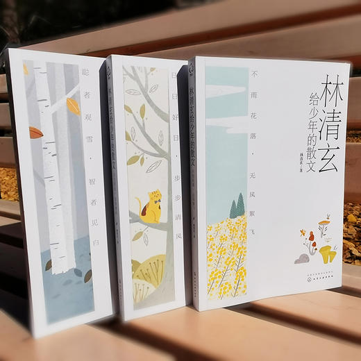 林清玄给少年的散文：大字版（套装共3册） 商品图10