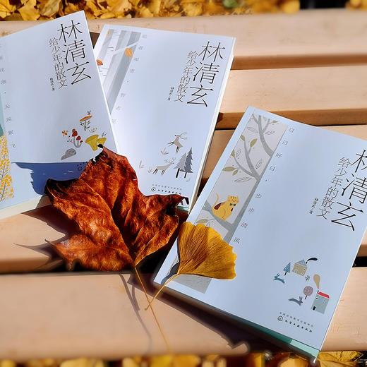 林清玄给少年的散文：大字版（套装共3册） 商品图3