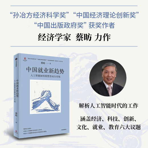【AI冲击下 我们应该怎么办？】《中国就业新趋势：人工智能如何重塑劳动力市场》 商品图0