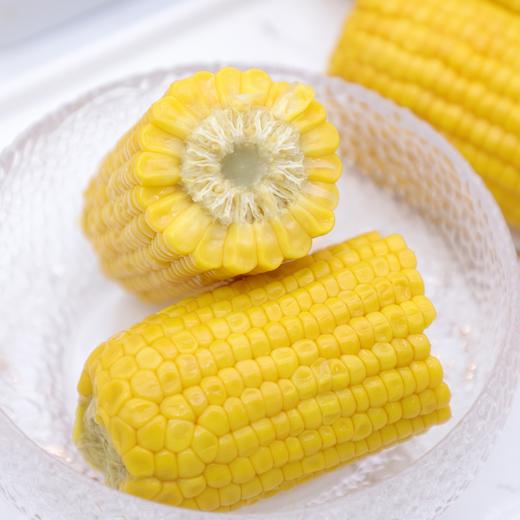 MAP·西北高原黄甜玉米/220g*8 商品图4