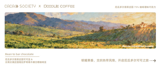 哆鲤咖啡 × 可可公社 联名限定巧克力 厄瓜多尔翡翠庄园75%咖啡增味巧克力-Z