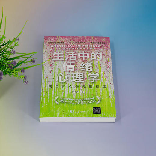 生活中的情绪心理学：来自内心深处的福流(QHDX) 商品图3