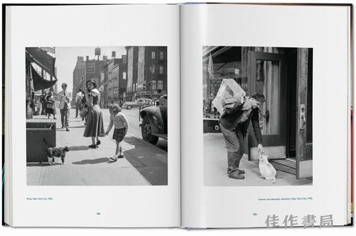 Walter Chandoha. Cats. Photographs 1942–2018 / 沃尔特·尚多哈. 猫 摄影集 1942–2018 /Taschen 原版艺术画册 商品图4