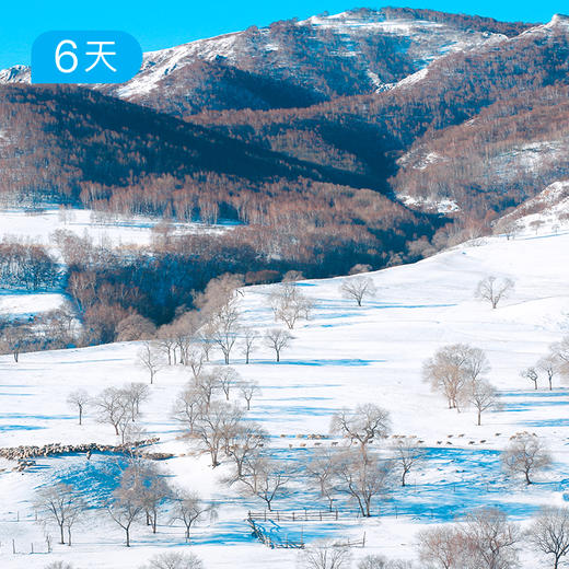 克什克腾26公里踏雪徒步节 乌兰布统雪原 6日【赠送价值219元戴适防水保暖帽】 商品图2