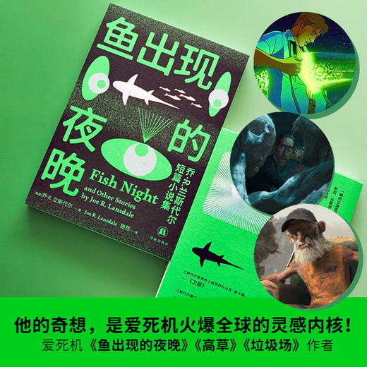 鱼出现的夜晚：乔·R.兰斯代尔短篇小说集 商品图1