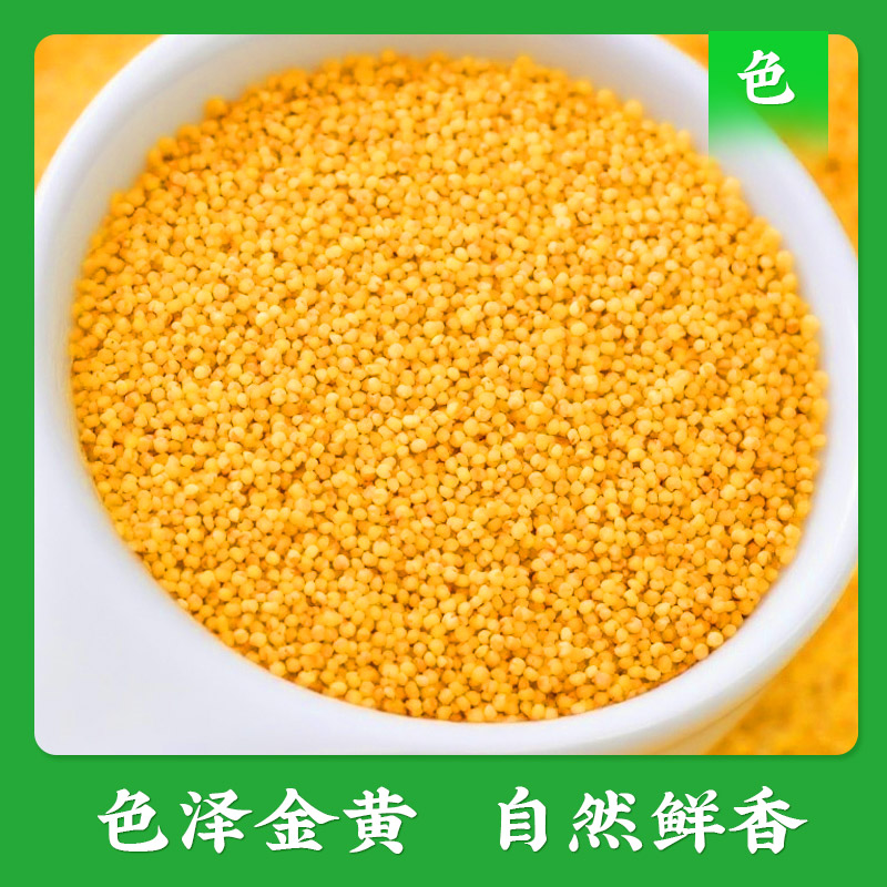 【陕北米脂黄小米】真正能熬出三层米油的黄小米