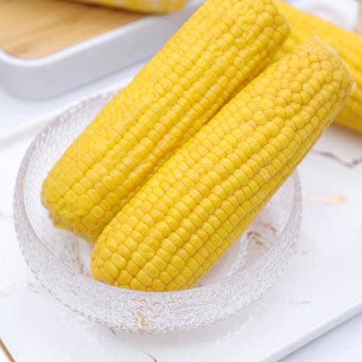 MAP·西北高原黄甜玉米/220g*8 商品图5