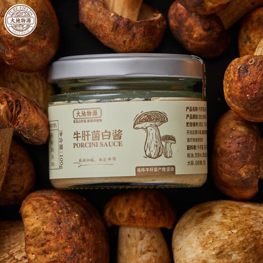 大地物源 | 涂抹酱面包伴侣牛肝菌白酱100g 商品图2