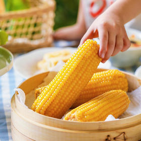 一块方田甜糯玉米真空袋装中通快递包邮下单从吉林发货