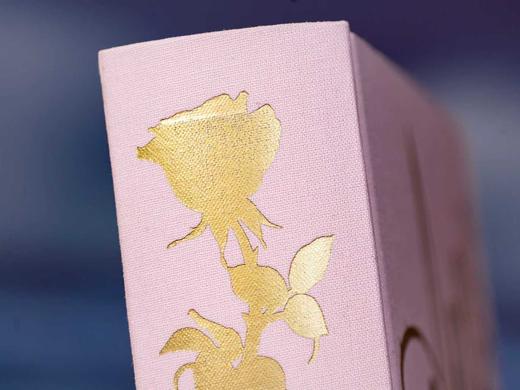 此生必读！《安娜·卡列尼娜》刷边典藏版|布面精装+赠传世画册|一部写透婚姻、人性和命运的答案之书|海明威、毛姆、余华一生崇拜，迟子建、陈鲁豫、董卿……百读不厌 商品图7