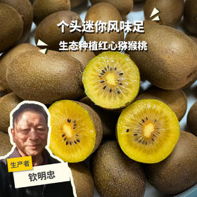 生态猕猴桃（个头小，中通） | 合作生产*Ecological kiwifruit | Partner Production