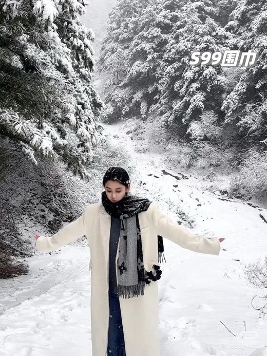 D110427情侣款精典百搭可双面佩戴羊绒流苏围巾 商品图1