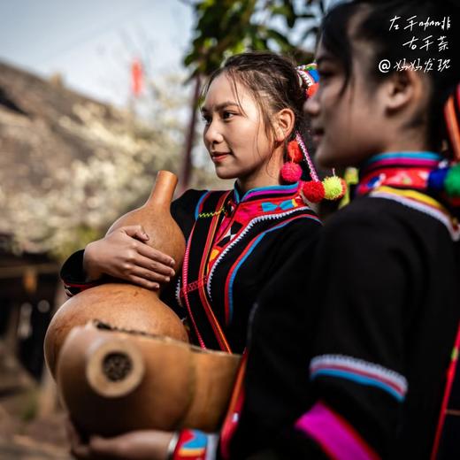 暖冬普洱，茶香咖醇！开启跨越古寨、茶林与咖啡庄园的生命对话 商品图6