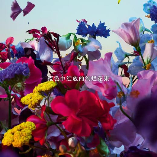 娇兰 东方夜谭淡香精（奇迹花园香型）125ml  G062126-F 商品图2