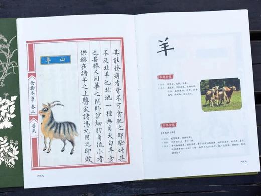 [专享4大福利】《食物本草：来自明代皇室的饮膳图谱》 赠礼1：特制布面涵套， 赠礼2：满版烫金工艺， 赠礼3：藏书票2张， 赠礼4：定制彩绘礼盒， 商品图4