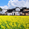 2晚/4晚【婺源 | 墅家·墨娑西冲院】百年徽宅焕新，归隐徽州寻梦~ 撑筏采莲、手编竹篾、漫步古村，感受徽州文化~ 商品缩略图4