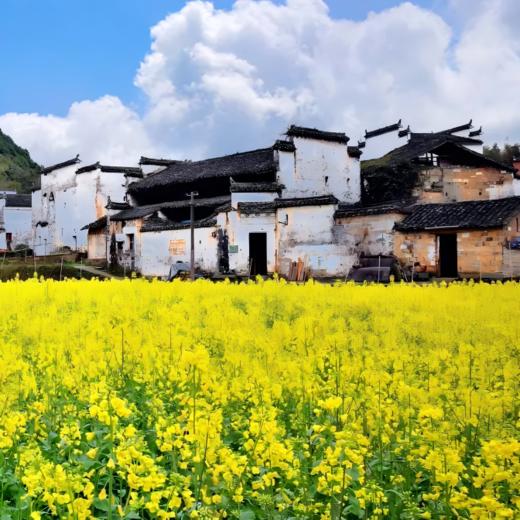 2晚/4晚【婺源 | 墅家·墨娑西冲院】百年徽宅焕新，归隐徽州寻梦~ 撑筏采莲、手编竹篾、漫步古村，感受徽州文化~ 商品图4