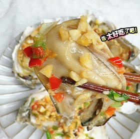 【乳山生蚝】精选新鲜现捞，又肥又嫩的生蚝！入口嫩滑，自然鲜甜，裹着酱汁太绝了！男人加油站，女人美容院！经过辐射测量仪检测的安全生蚝的哦
