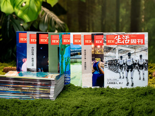 《三联生活周刊》2025年12月-2026年11月跨年刊预订（共52期）| 赠品《世界知名博物馆系列》+随机3本精选周刊 商品图9