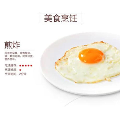 山茶调和油3L/瓶【GY】 商品图2