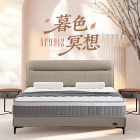 AF9912真皮床架