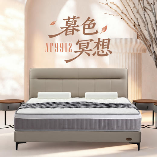 AF9912真皮床架 商品图0