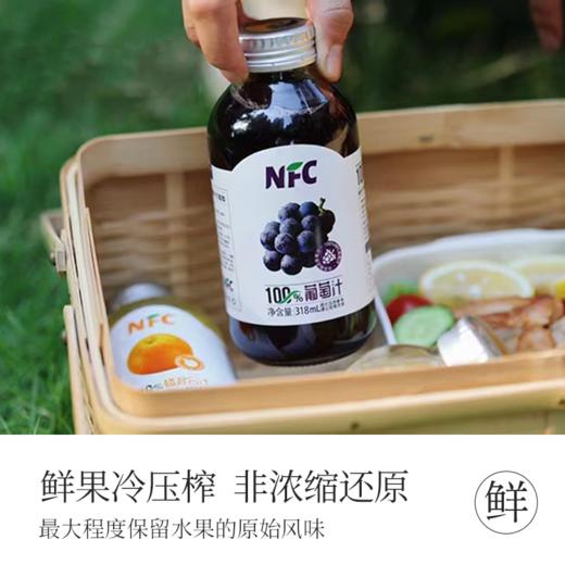 【新疆帮扶】西域小白丨NFC果汁系列 葡萄汁 318ml*5罐 商品图0