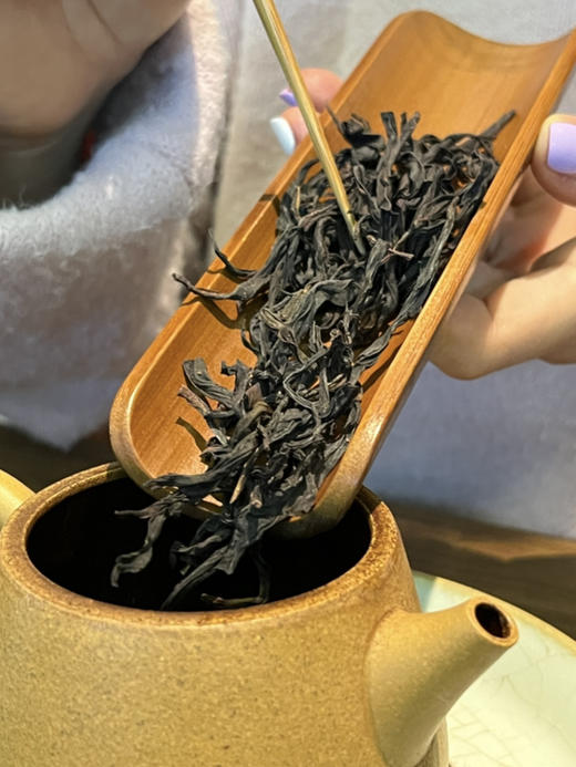 老枞宋种80克/罐 商品图4